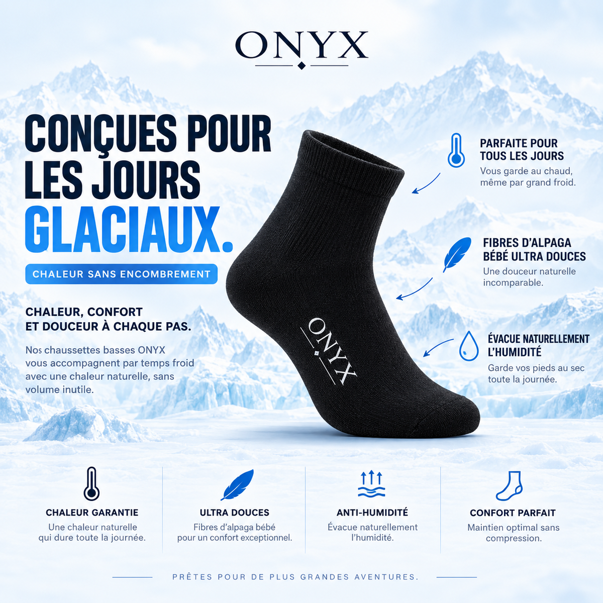 Chaussettes basses