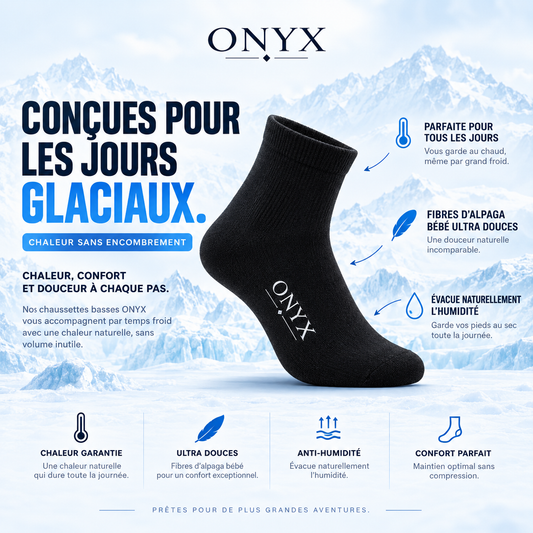 Chaussettes basses
