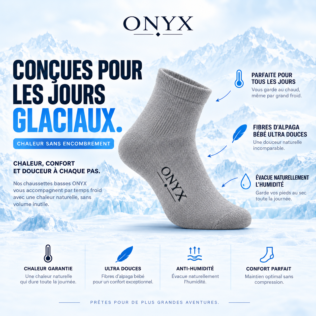 Chaussettes basses